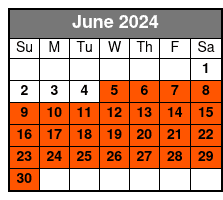 24 Speed Hybrid Road Bike Rental junio Schedule
