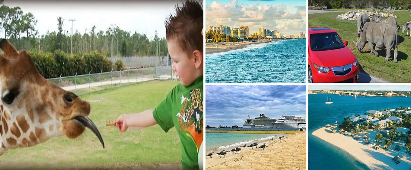 Best Fort Lauderdale Beach, Lion Country Safari and Palm Beach Day Tour