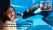 A child is joyfully observing an orca with a positive testimonial overlay, while a small inset shows people riding a roller coaster.