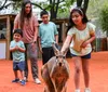 A family is happily observing a giraffe at a zoo or wildlife park