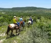 A group of people are horseback riding along a trail through a lush green landscape