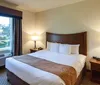Room Photo for Comfort Suites Stone Oak San Antonio