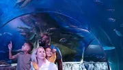 A family is enjoying an underwater view as they stand in a glass tunnel through an aquarium, surrounded by various marine life.