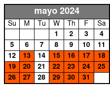 4 Hr Paddle Board Rental mayo Schedule