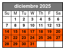  Orlando City Lights and Fireworks Premier Helicopter Tour diciembre Schedule