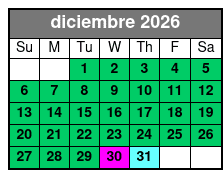 40 Min Fireworks Evening diciembre Schedule
