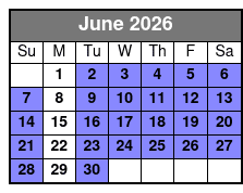 Electric Bike Rentals in New Port Richey junio Schedule