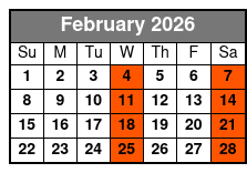 Daytona Beach Day Small Group with Hotel Pick Ups febrero Schedule
