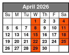 Daytona Beach Day Small Group with Hotel Pick Ups abril Schedule