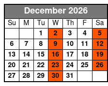 Daytona Beach Day Small Group with Hotel Pick Ups diciembre Schedule