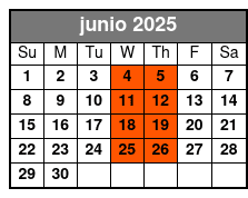 ATV Single Driver Experience junio Schedule