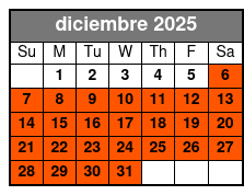 ATV Single Driver Experience diciembre Schedule
