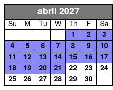 ATV Single Driver Experience abril Schedule