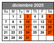 Orlando City Tour diciembre Schedule