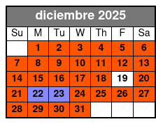 2 Attraction Combo Ticket (P) diciembre Schedule