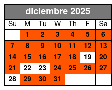 2 Attraction Combo Ticket (T) diciembre Schedule