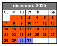 20 Minute Evening Flight diciembre Schedule