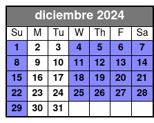 Default diciembre Schedule