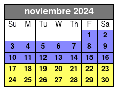 Option 1 noviembre Schedule