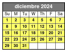 Option 1 diciembre Schedule