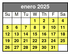 Option 1 enero Schedule