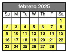 Option 1 febrero Schedule
