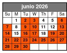 Kennedy Space Center Small Group VIP Experience junio Schedule