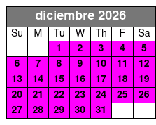 Paddleboard December Schedule