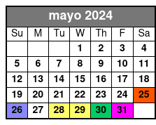 The Asylum Escape Room mayo Schedule