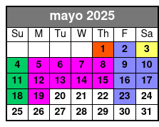 The Asylum Escape Room mayo Schedule