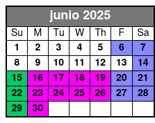 The Asylum Escape Room junio Schedule