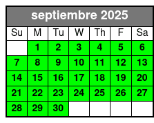 Admission Ticket to Museum of Illusions Orlando septiembre Schedule