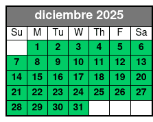Sunset Tour diciembre Schedule