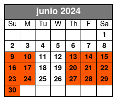 30 Minute Jet Ski Rental junio Schedule