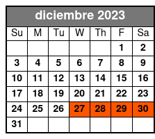 1 Day Classic Ticket diciembre Schedule