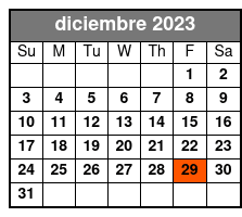 Skywalk and Lunch Included diciembre Schedule
