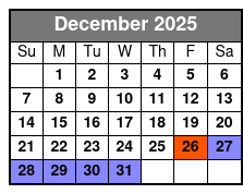 Private Professional Vacation Photoshoot in Fort Lauderdale diciembre Schedule