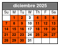 1 Hour 1 Person 1 Ski diciembre Schedule