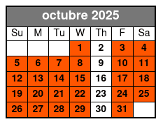 2 Hours Electric Bike Experience on Ft Lauderdale octubre Schedule