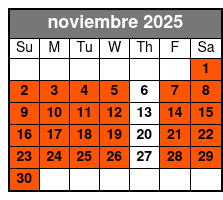 2 Hours Electric Bike Experience on Ft Lauderdale noviembre Schedule