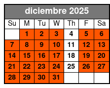 2 Hours Electric Bike Experience on Ft Lauderdale diciembre Schedule