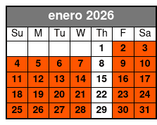 2 Hours Electric Bike Experience on Ft Lauderdale enero Schedule