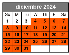 2 Boards diciembre Schedule