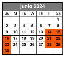 Overnight Experience junio Schedule