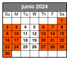 Sightseeing Cruise junio Schedule