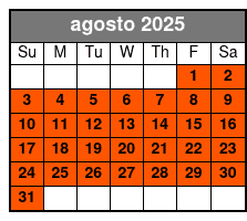 Sightseeing Cruise agosto Schedule