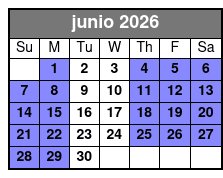 Sightseeing Cruise junio Schedule