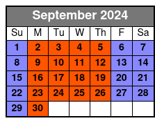 South Beach Miami Paddle Board Experience septiembre Schedule