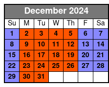 South Beach Miami Paddle Board Experience diciembre Schedule