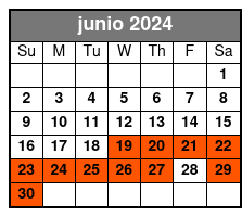 Noon 1 on 1 Lesson junio Schedule